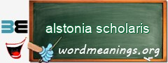 WordMeaning blackboard for alstonia scholaris